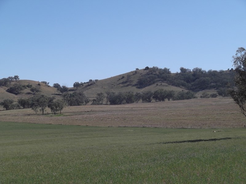 Lot 5042 Back Kootingal Road, Tamworth NSW 2340