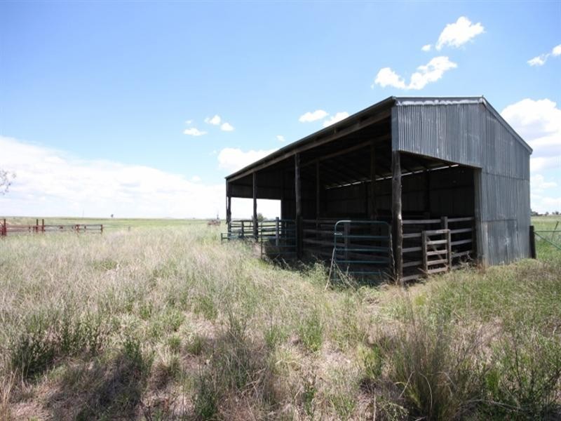 377 Burgmanns Lane, Tamworth NSW 2340