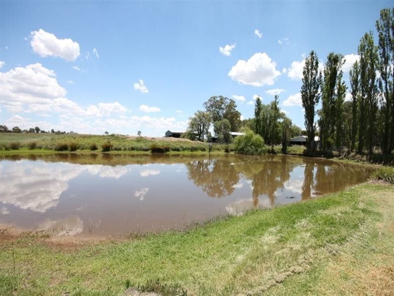 377 Burgmanns Lane, Tamworth NSW 2340