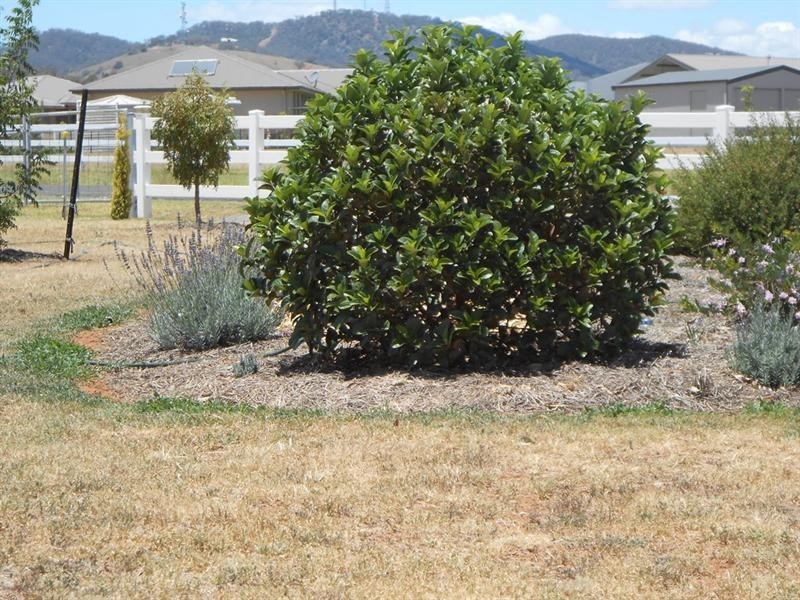 26 Sequoia Drive, Tamworth NSW 2340