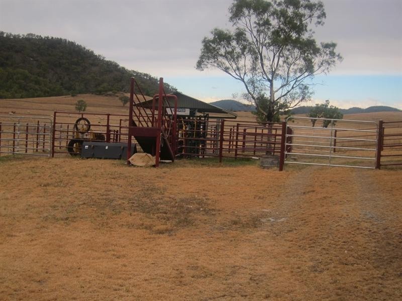 352 Wisemans Arm Road, Garthowen NSW 2345