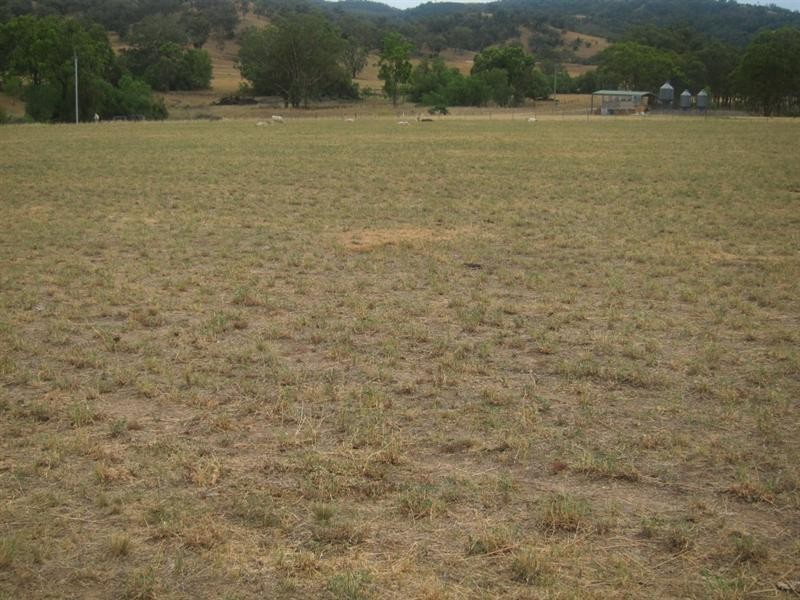 352 Wisemans Arm Road, Garthowen NSW 2345