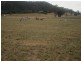 352 Wisemans Arm Road, Garthowen NSW 2345