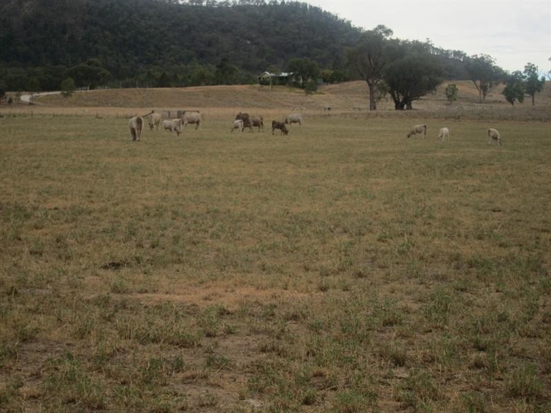352 Wisemans Arm Road, Garthowen NSW 2345
