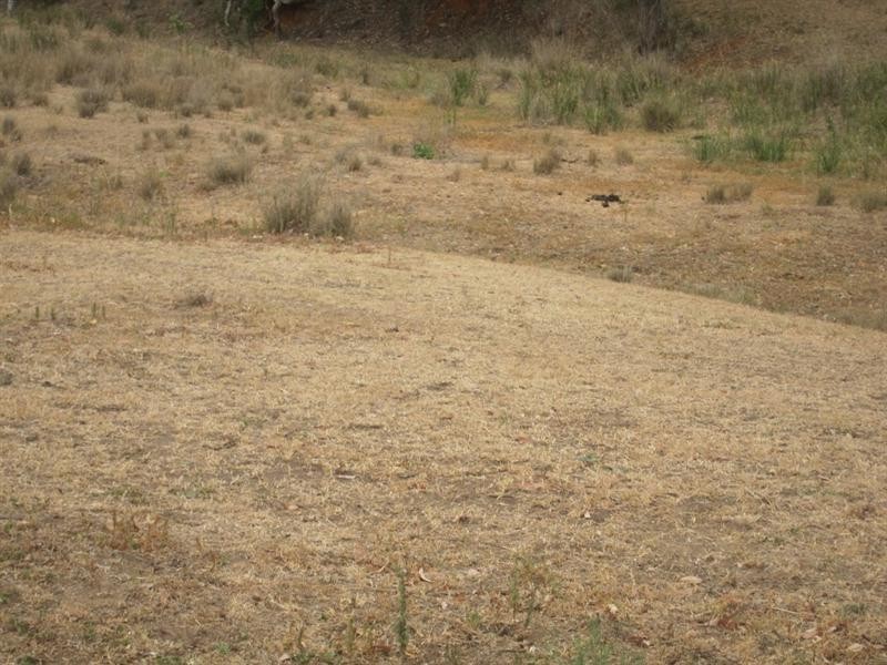 352 Wisemans Arm Road, Garthowen NSW 2345