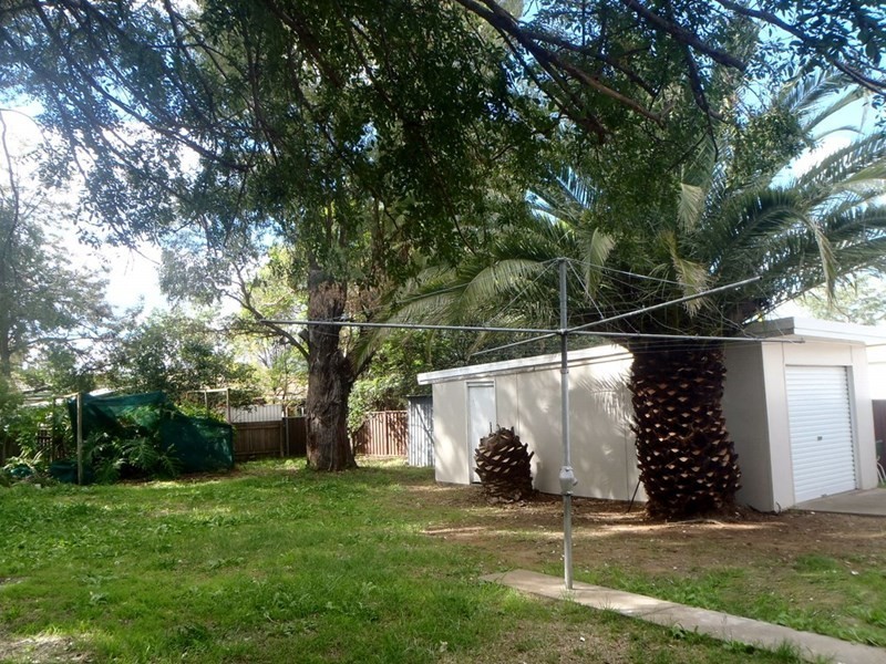 20 Kyooma Street, Tamworth NSW 2340