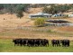 “Hillview” 620 Woolomin Road, Tamworth NSW 2340