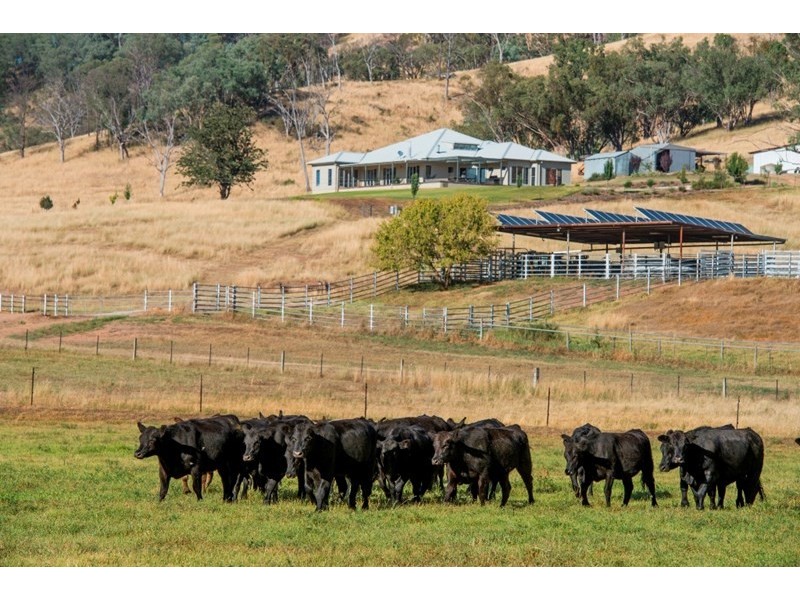 “Hillview” 620 Woolomin Road, Tamworth NSW 2340