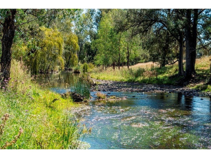 “Hillview” 620 Woolomin Road, Tamworth NSW 2340