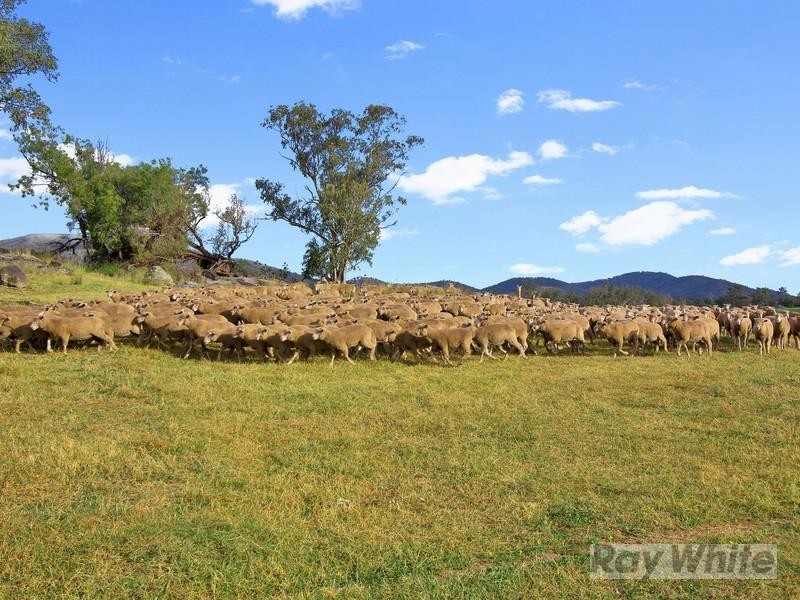 “Kiah” 168 Walmar Road, Kootingal NSW 2352