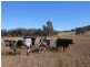 Lot 1 633 Moore Creek Road, Tamworth NSW 2340