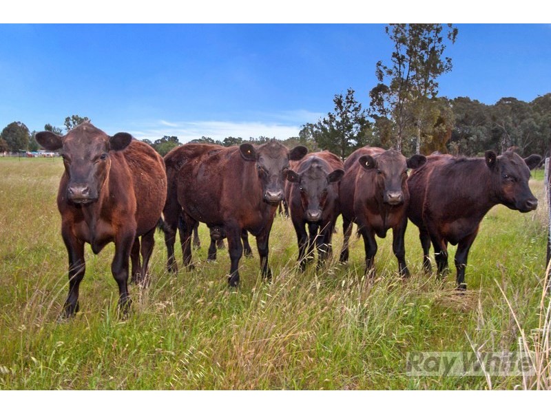 Lot 2 633 Moore Creek Road, Tamworth NSW 2340