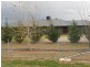 9 Conjola Drive, Tamworth NSW 2340