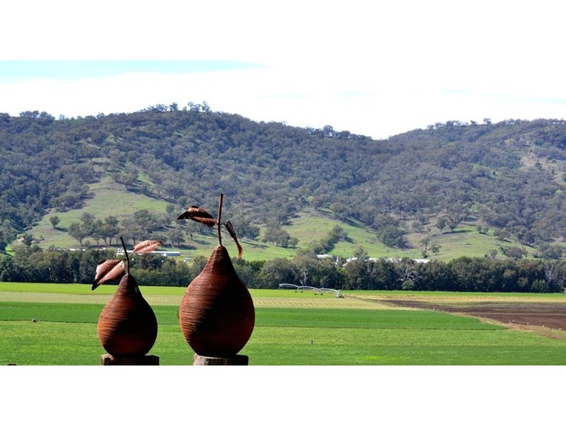 “Hillview” 620 Back Woolomin Road, Tamworth NSW 2340