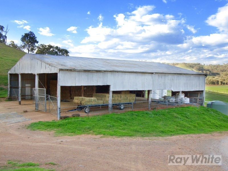 “Hillview” 620 Back Woolomin Road, Tamworth NSW 2340