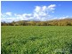 “Hillview” 620 Back Woolomin Road, Tamworth NSW 2340