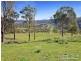 “Hillview” 620 Back Woolomin Road, Tamworth NSW 2340