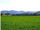 “Hillview” 620 Back Woolomin Road, Tamworth NSW 2340