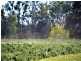 “Hillview” 620 Back Woolomin Road, Tamworth NSW 2340