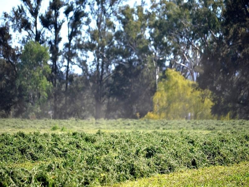 “Hillview” 620 Back Woolomin Road, Tamworth NSW 2340