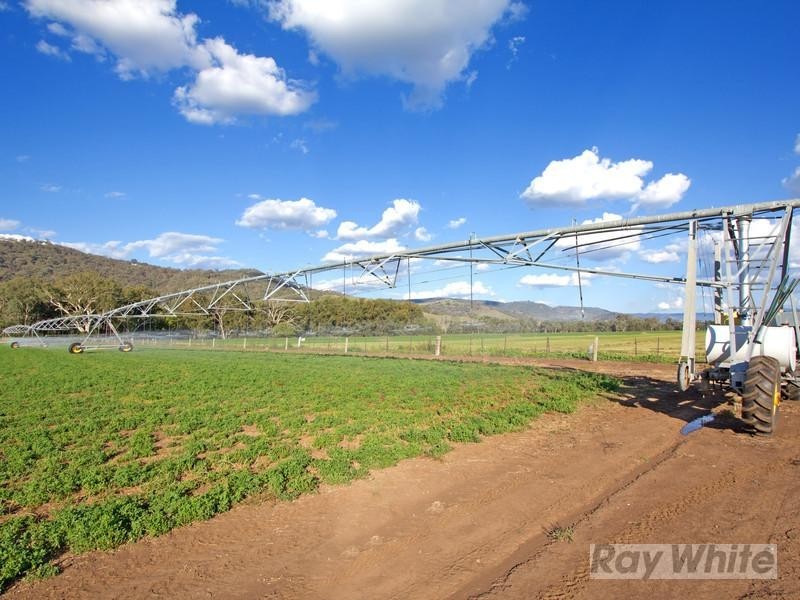 “Hillview” 620 Back Woolomin Road, Tamworth NSW 2340
