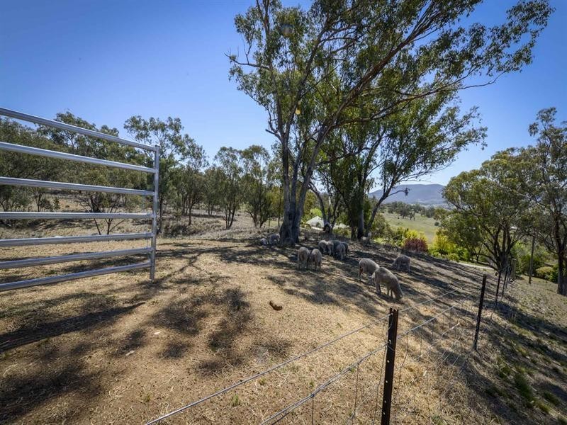 23 Norman Close, Loomberah NSW 2340