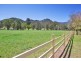 170 New England Gully Road, Moonbi NSW 2353