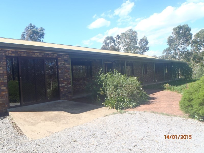 536 Tintinhull Road, Daruka NSW 2340