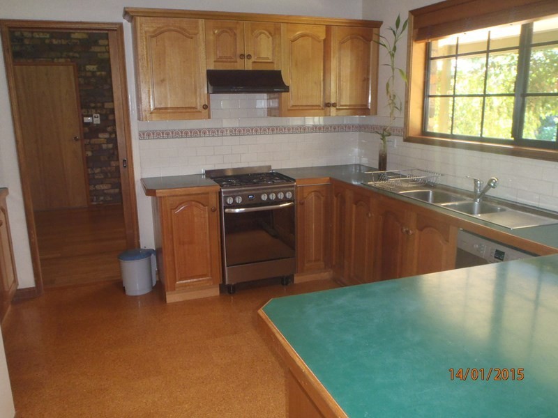 536 Tintinhull Road, Daruka NSW 2340