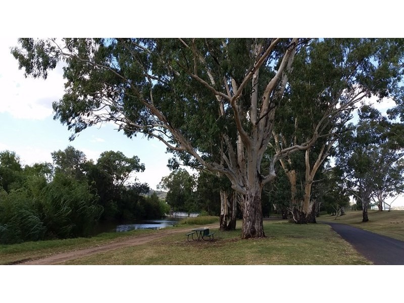 113 Strafford Street, Manilla NSW 2346