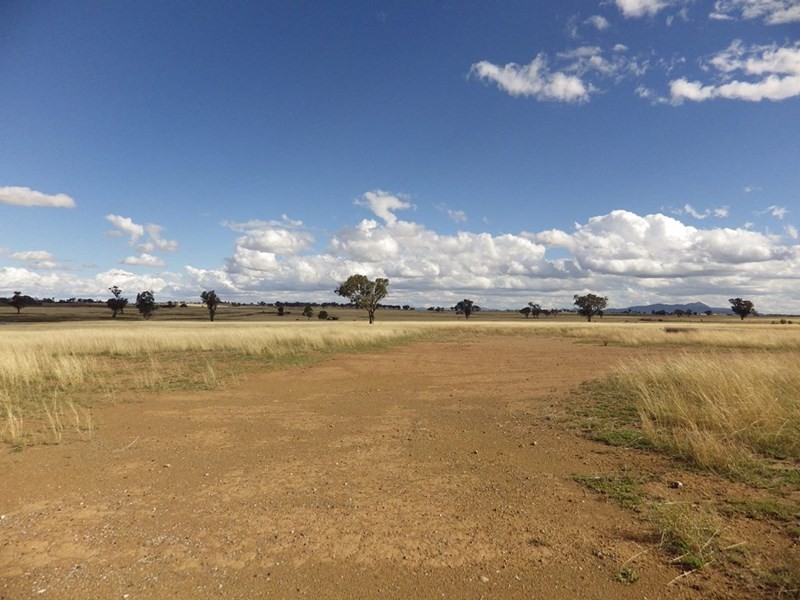 Lot 122 New Winton Road, Tamworth NSW 2340