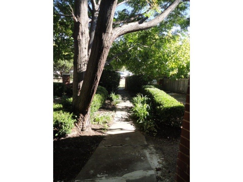 49 Fitzroy Street, Tamworth NSW 2340