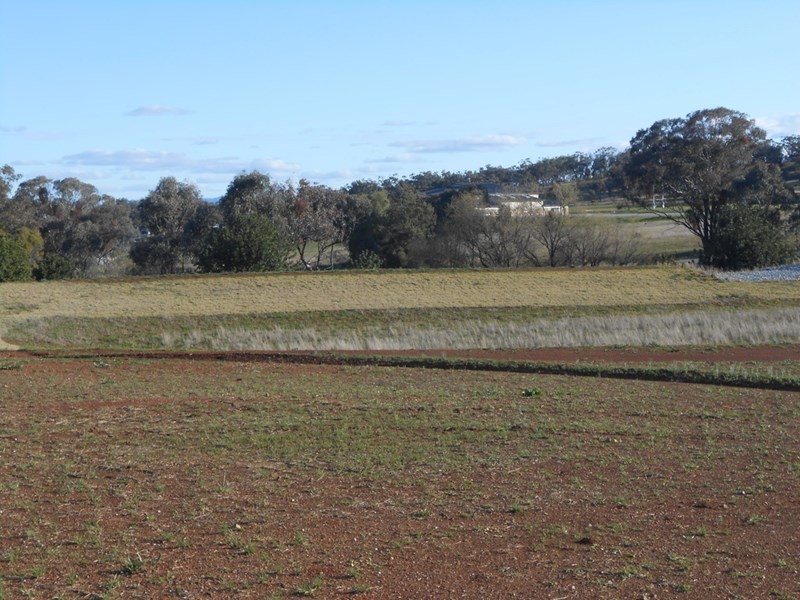 Lot 52 Faringdon Street, Bellefields Estate, Tamworth NSW 2340