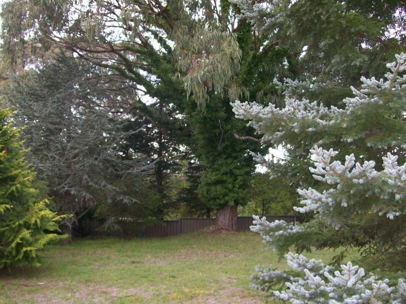 795 Barry Road, Hanging Rock NSW 2340