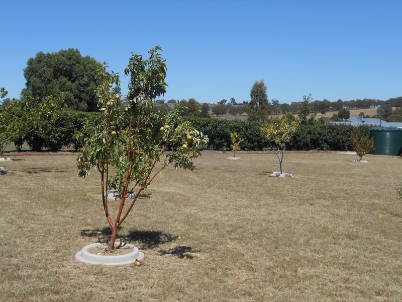 45 Browns Lane, Tamworth NSW 2340