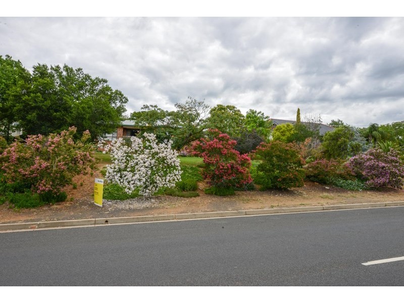3 Gouldian Way, Tamworth NSW 2340