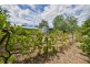8 Panorama Road, Calala NSW 2340