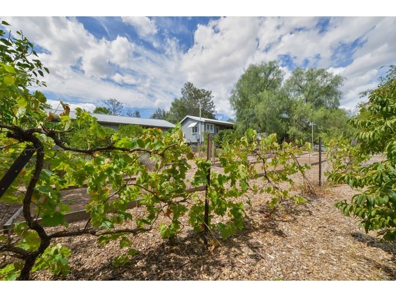 8 Panorama Road, Calala NSW 2340
