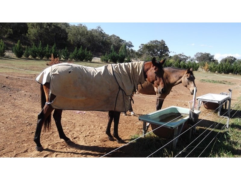 147 Arthur Street, Manilla NSW 2346