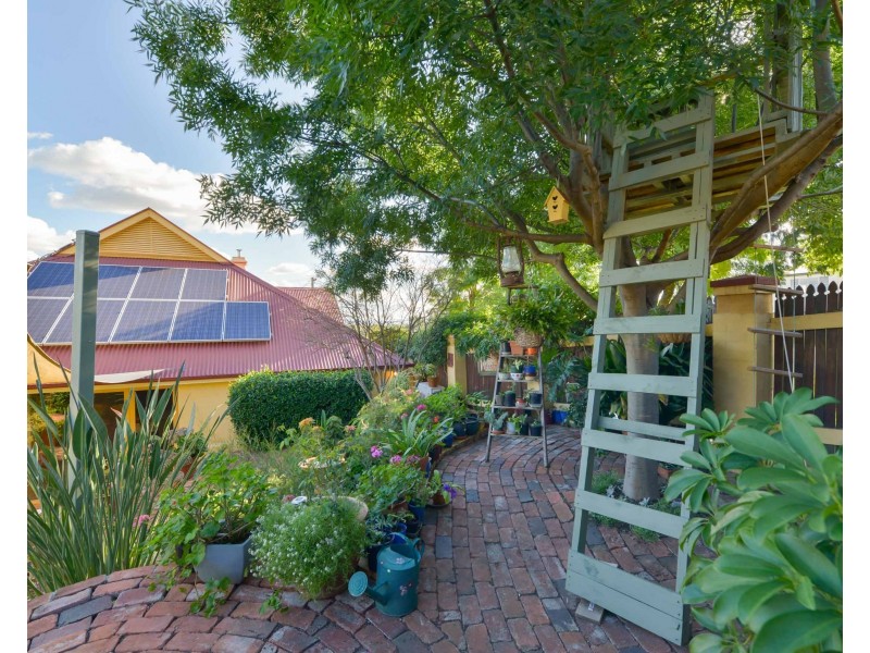 42 Carthage Street, Tamworth NSW 2340