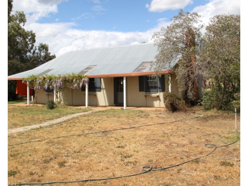 916 Moore Creek Road, Tamworth NSW 2340