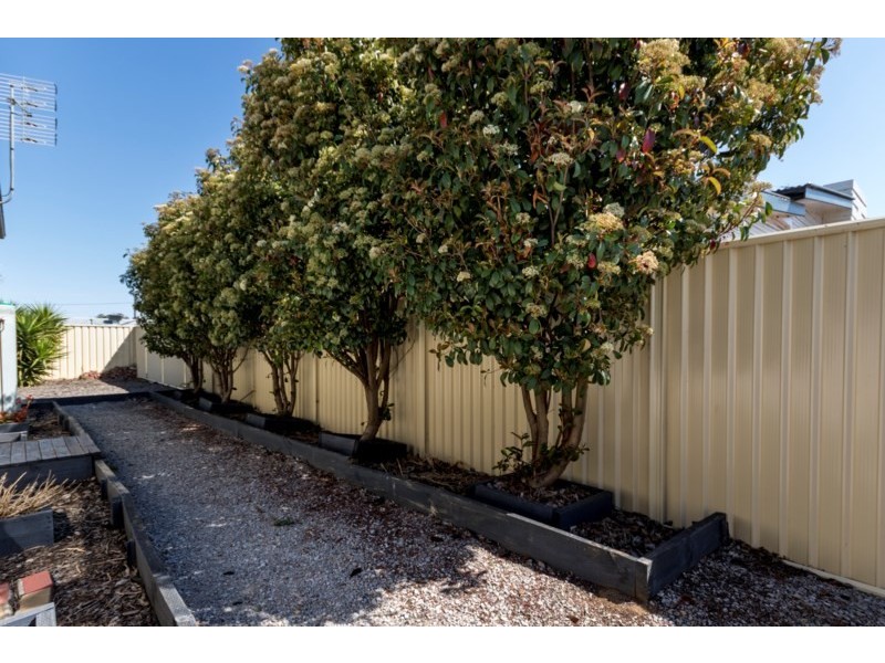 19 Diane Street, Tamworth NSW 2340