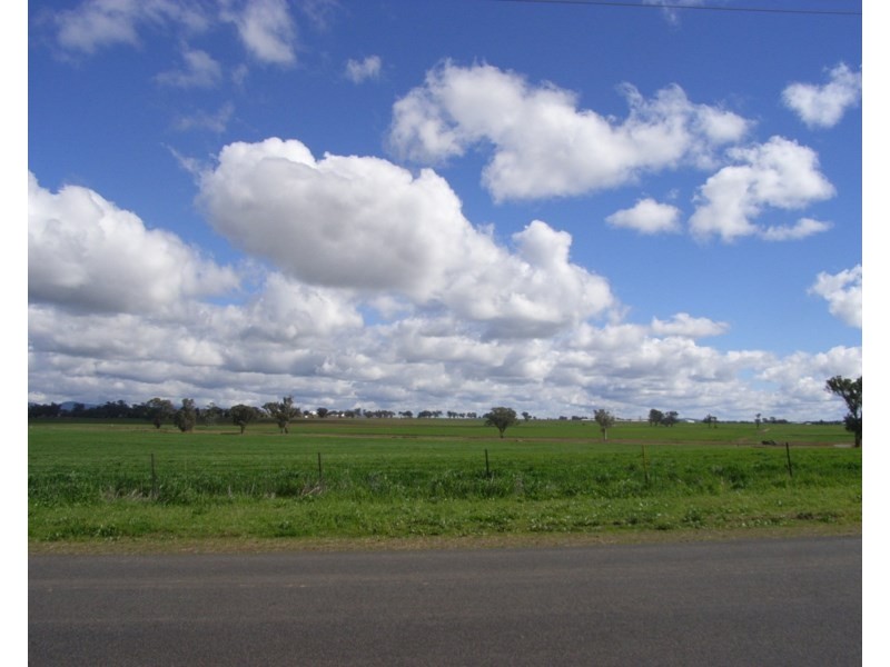 150 Flinders Street, Westdale NSW 2340