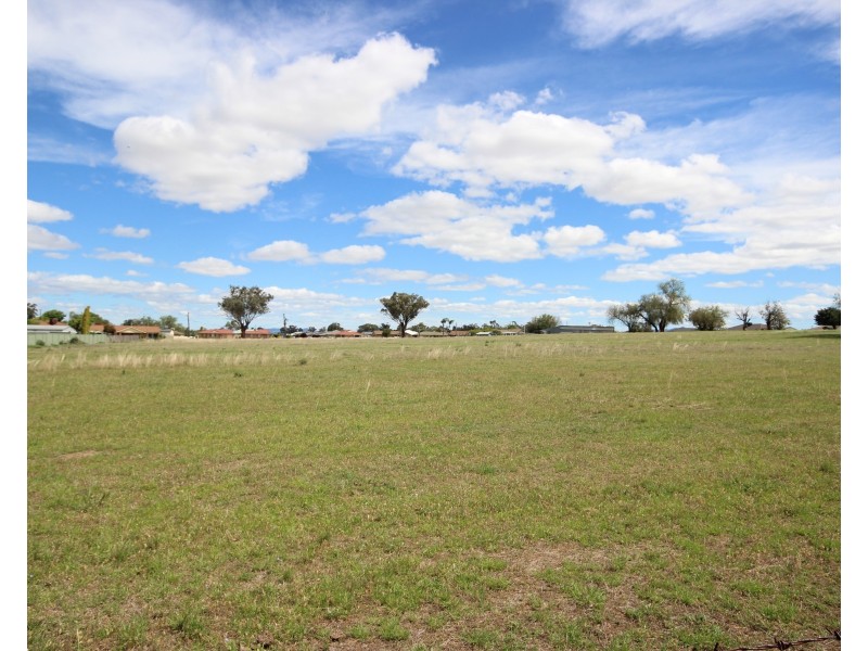 115 Flinders Street, Westdale NSW 2340