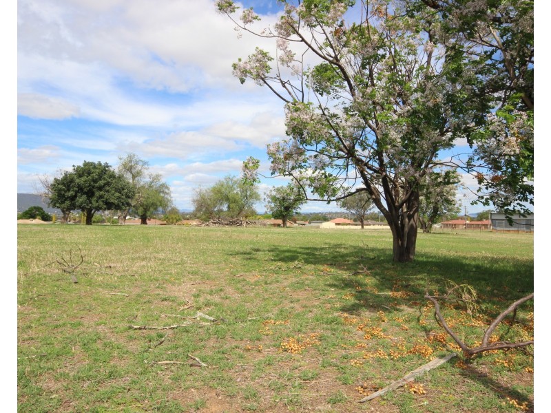 115 Flinders Street, Westdale NSW 2340