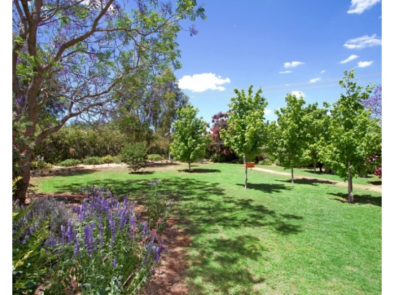 40 Attunga Street, Attunga NSW 2345