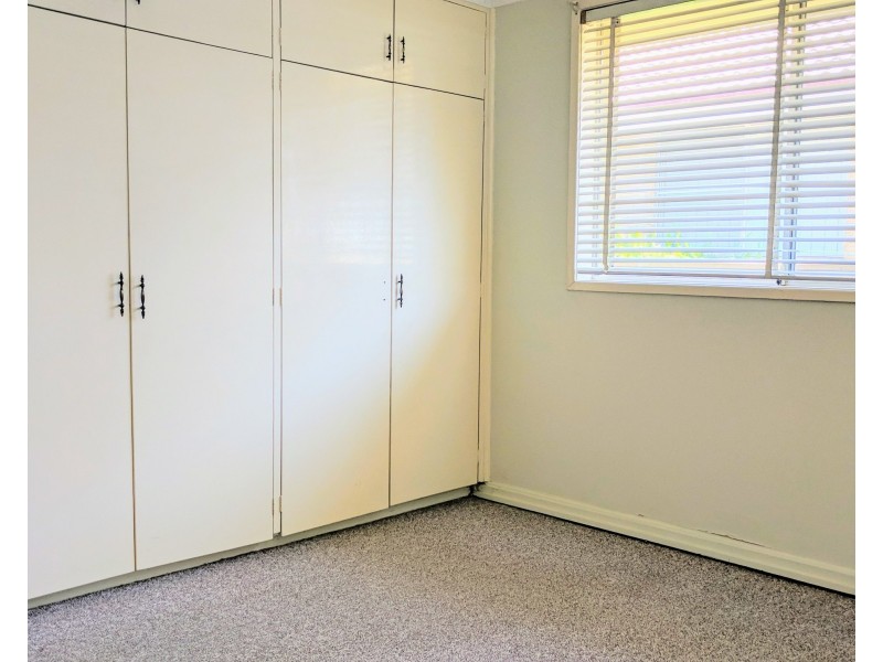 3 Electra Street, Tamworth NSW 2340