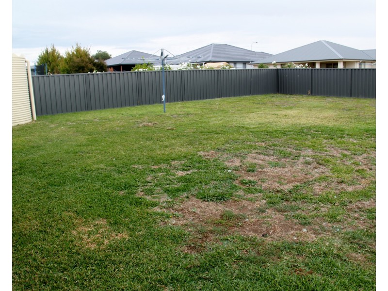 16 Riesling Road, Tamworth NSW 2340