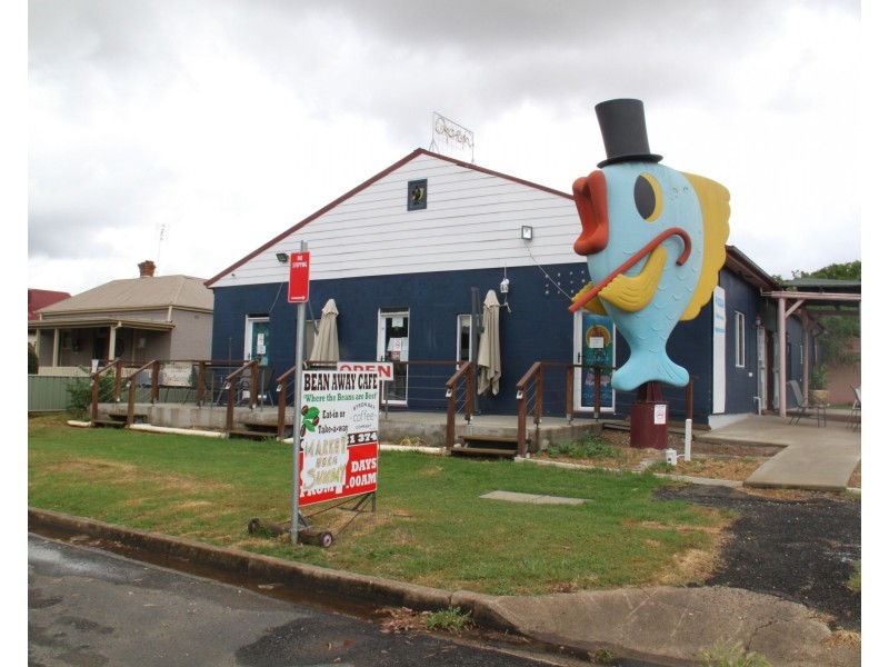 79 Arthur Street, Manilla NSW 2346