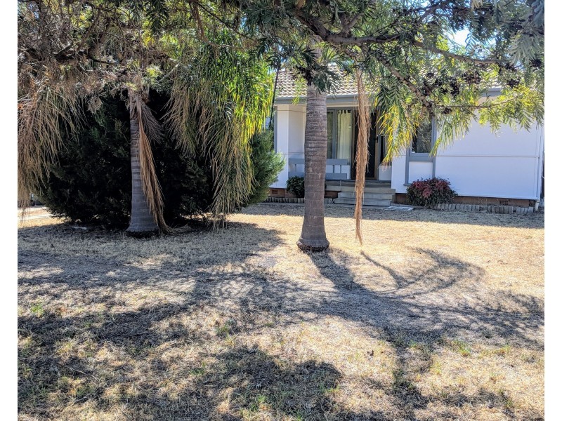 39 Bourne Street, Tamworth NSW 2340